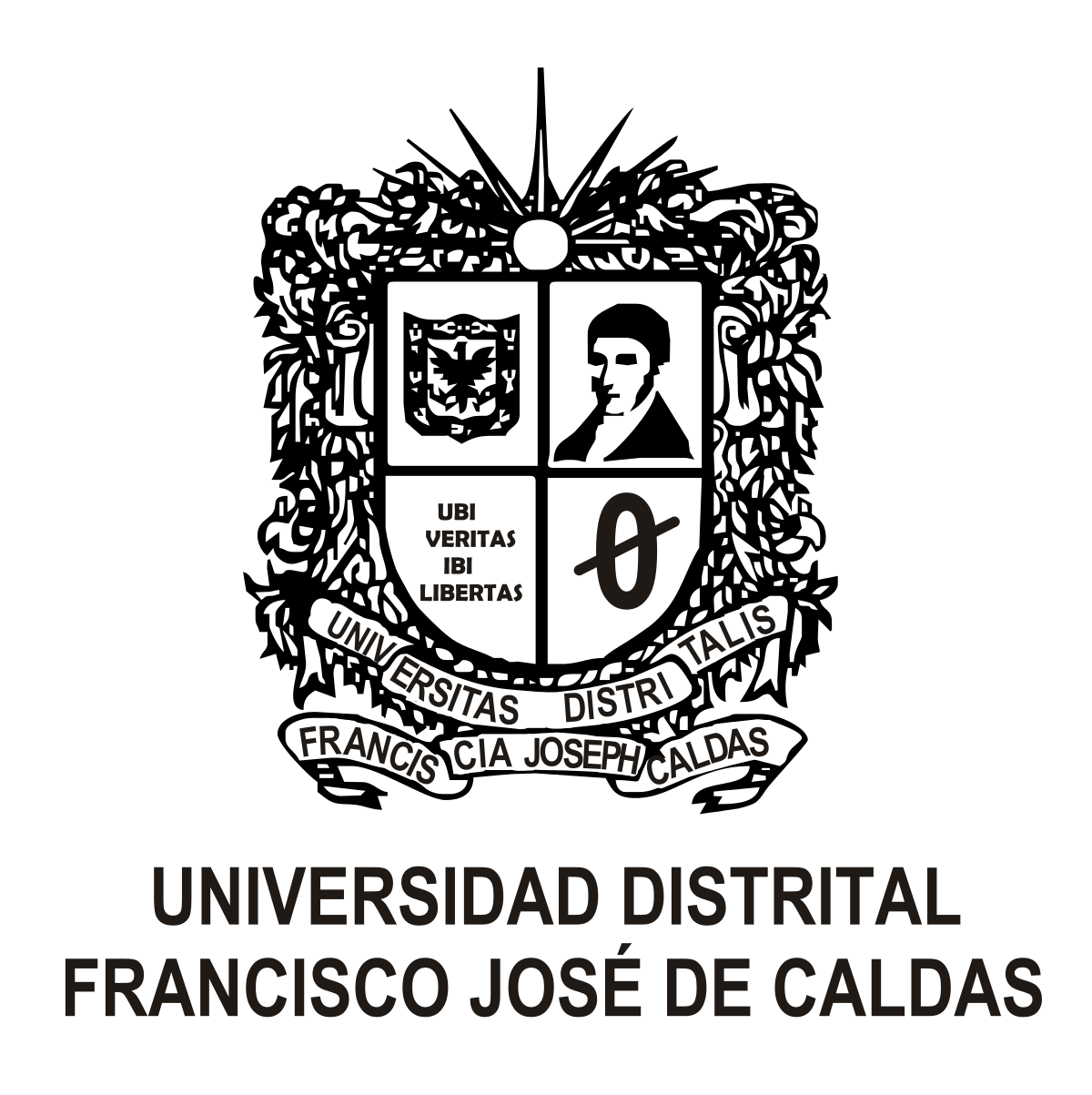 Universidad Distrital